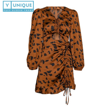 Drawstring V-Neck Puff Sleeve Dress With Leopard Print 6