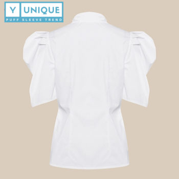 Collared Split-End Short Puff Sleeve Top 5